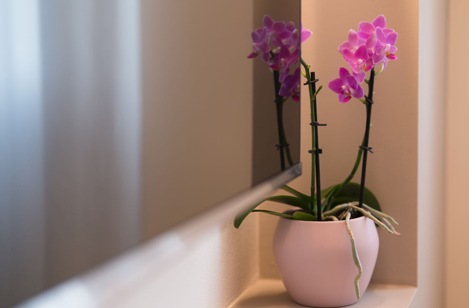 Apartment 55.1 - Foto 8